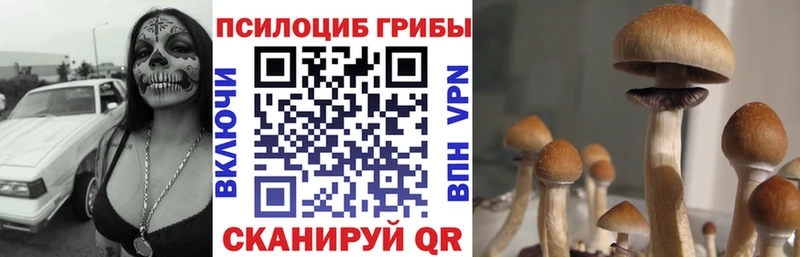 Галлюциногенные грибы прущие грибы  Братск 